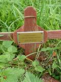 image of grave number 187950